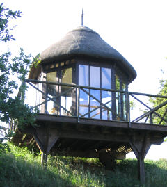 Thatched Look-out near the Hen Reedbeds